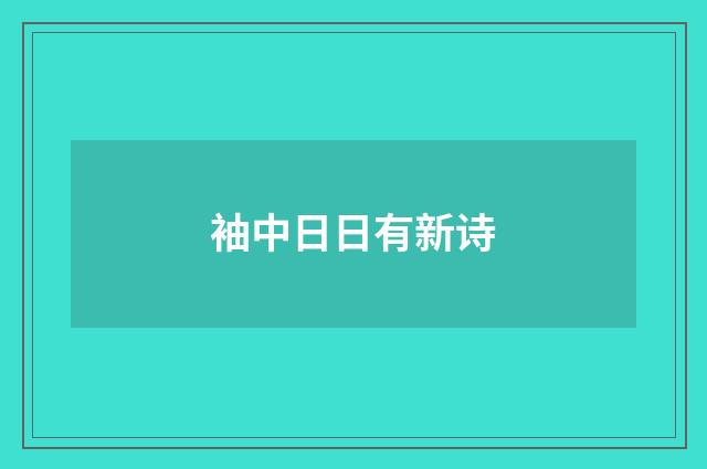 袖中日日有新诗
