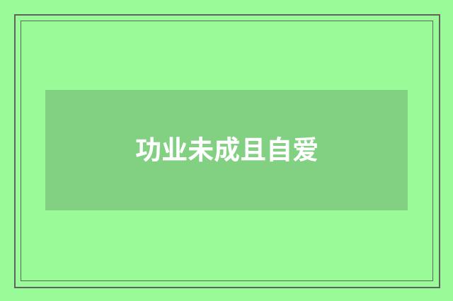 功业未成且自爱
