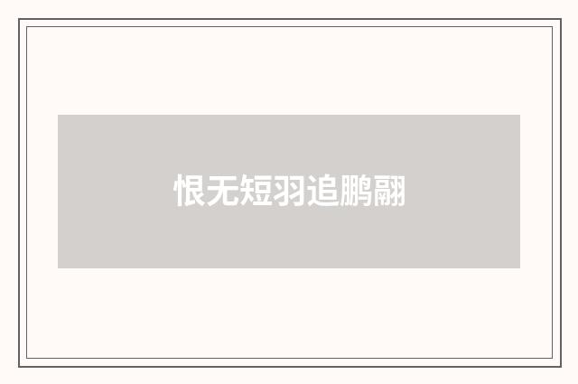 恨无短羽追鹏翮