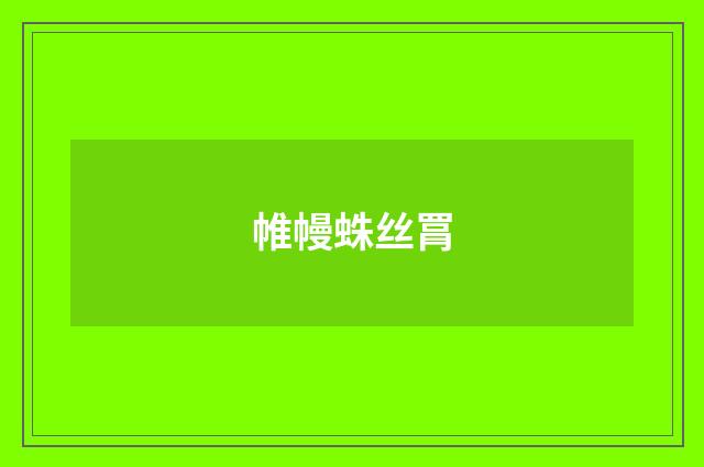 帷幔蛛丝罥