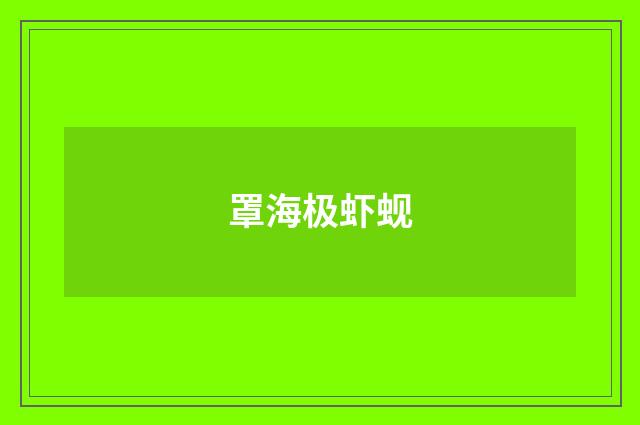 罩海极虾蚬