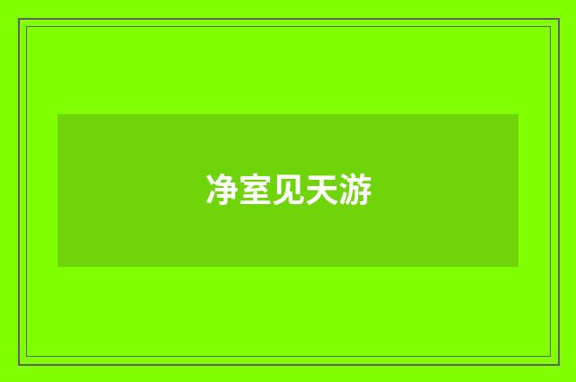 净室见天游