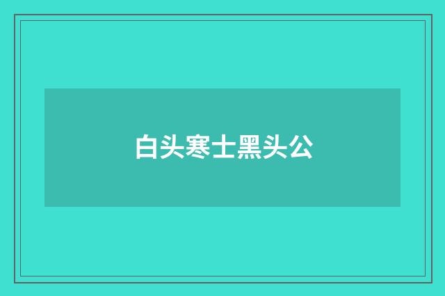 白头寒士黑头公