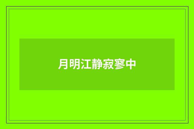 月明江静寂寥中