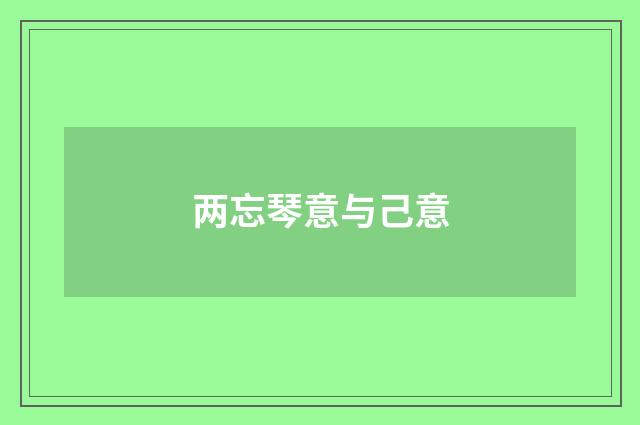 两忘琴意与己意