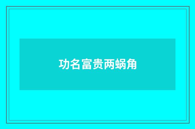 功名富贵两蜗角