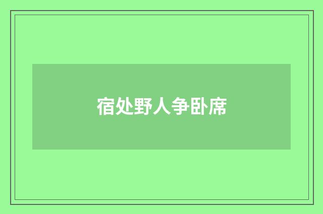 宿处野人争卧席