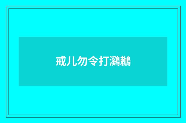 戒儿勿令打鸂鶒