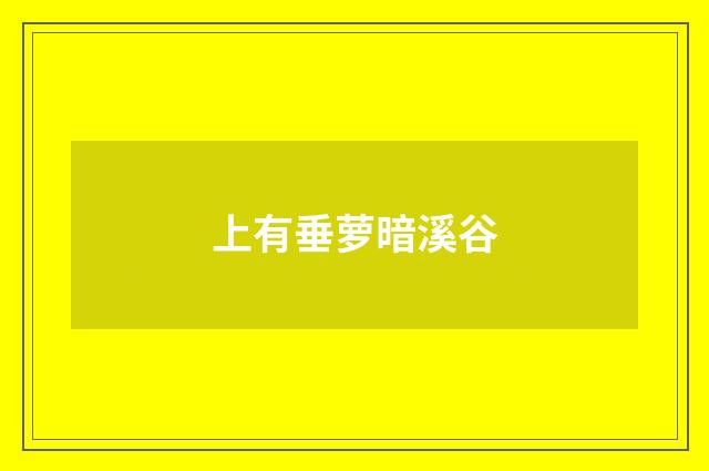上有垂萝暗溪谷