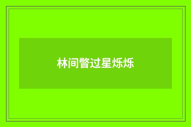 林间瞥过星烁烁