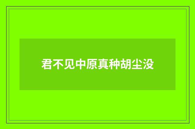 君不见中原真种胡尘没