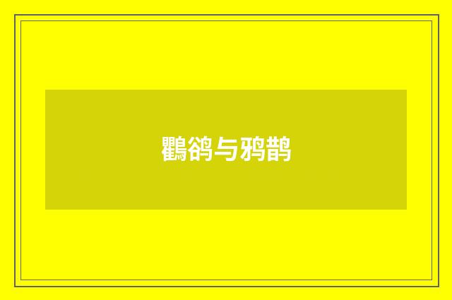 鸜鹆与鸦鹊