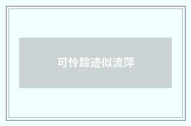 可怜踪迹似流萍