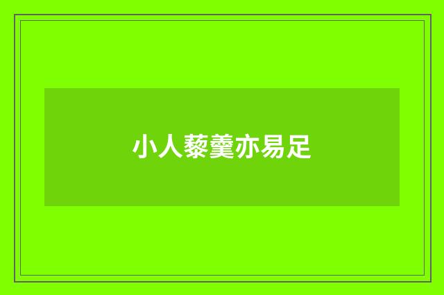 小人藜羹亦易足