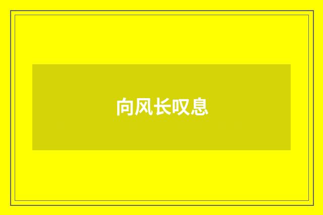 向风长叹息