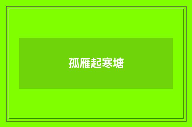 孤雁起寒塘