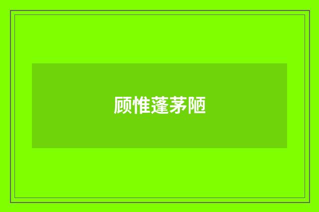顾惟蓬茅陋