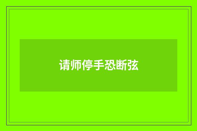 请师停手恐断弦