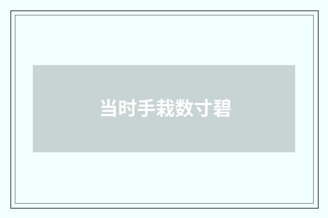当时手栽数寸碧