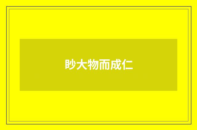 眇大物而成仁