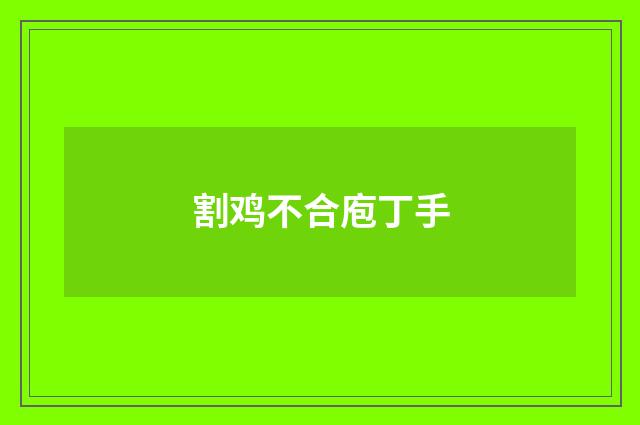割鸡不合庖丁手