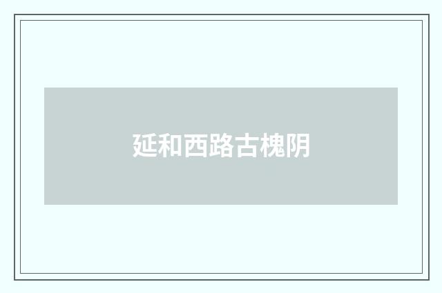 延和西路古槐阴
