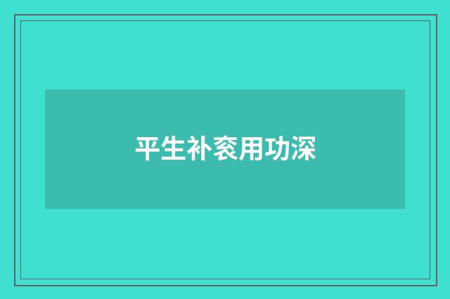 平生补衮用功深