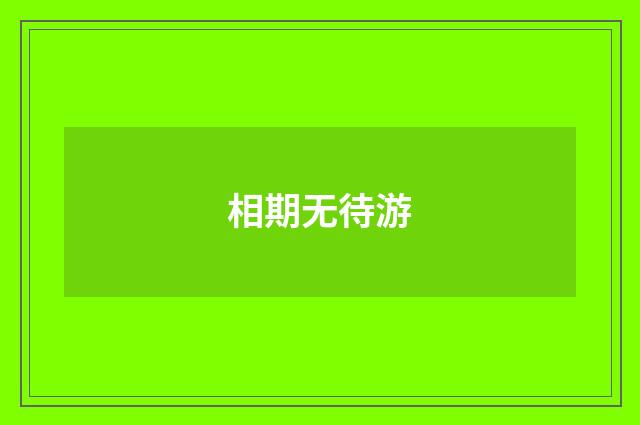 相期无待游