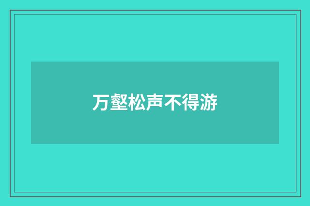 万壑松声不得游