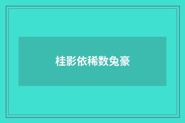 桂影依稀数兔豪