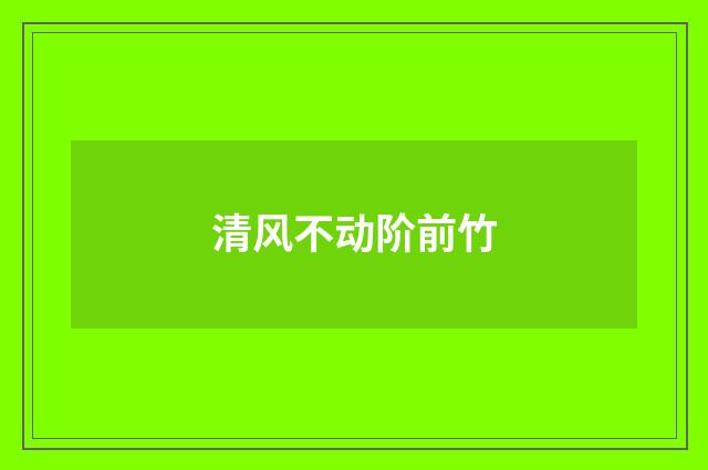 清风不动阶前竹