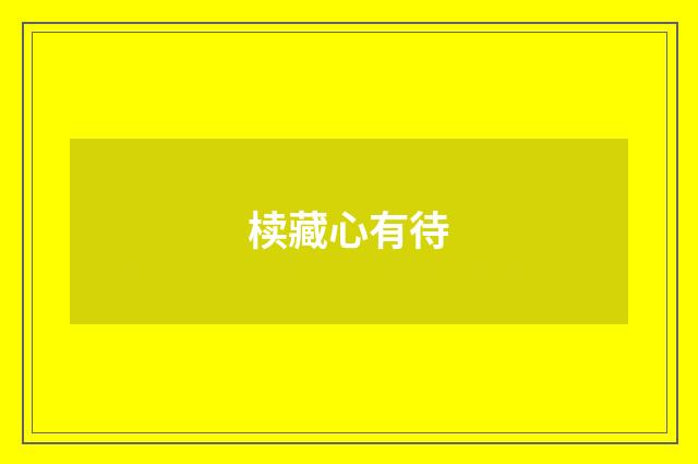 椟藏心有待