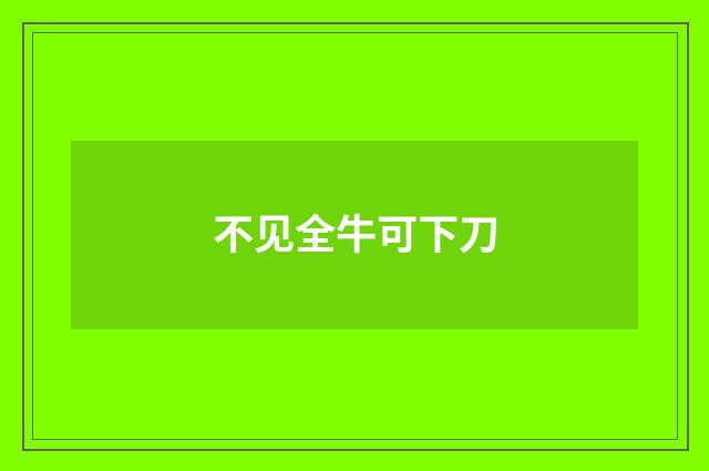 不见全牛可下刀