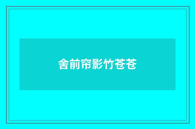 舍前帘影竹苍苍