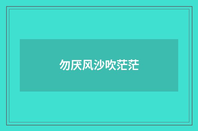 勿厌风沙吹茫茫