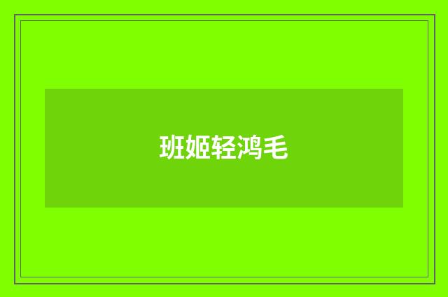 班姬轻鸿毛
