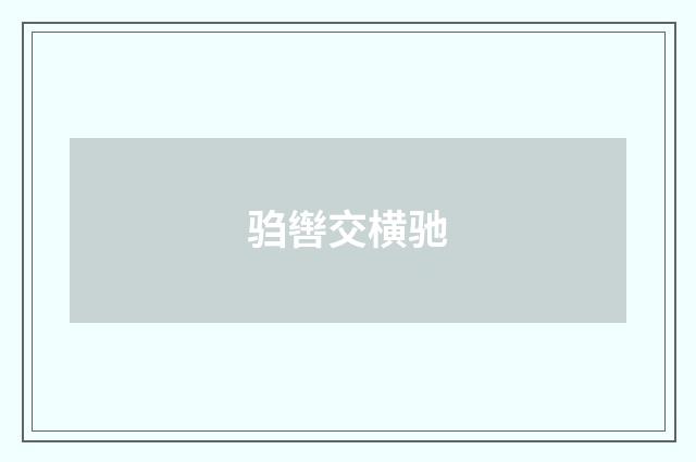 驺辔交横驰