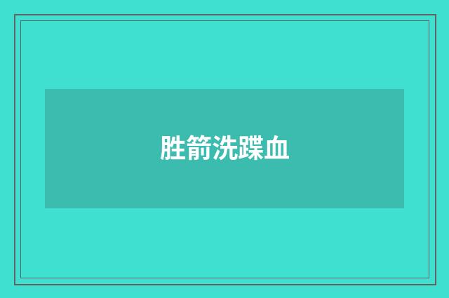 胜箭洗蹀血