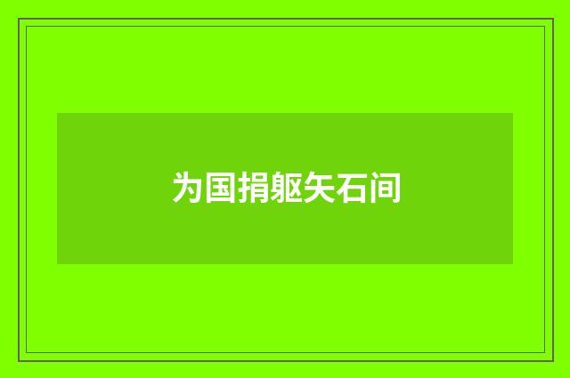 为国捐躯矢石间