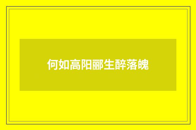 何如高阳郦生醉落魄