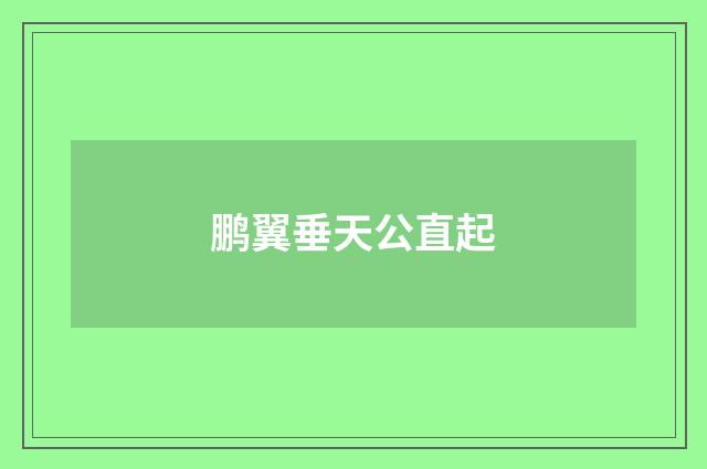 鹏翼垂天公直起