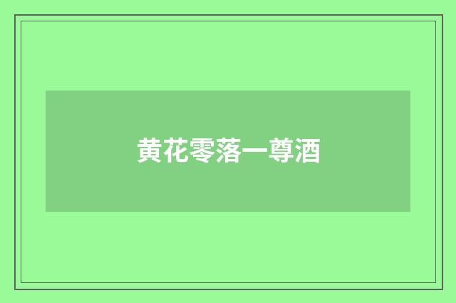 黄花零落一尊酒