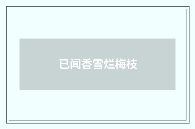 已闻香雪烂梅枝