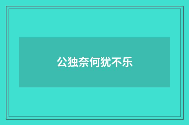 公独奈何犹不乐