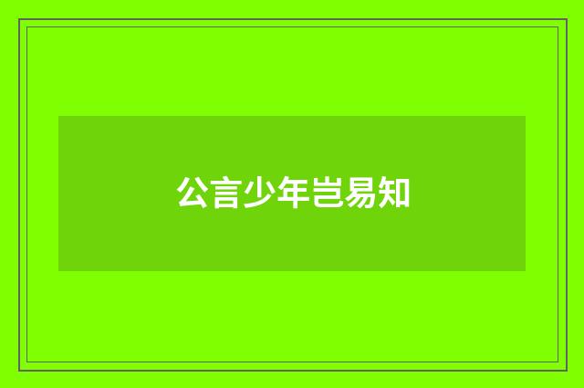 公言少年岂易知