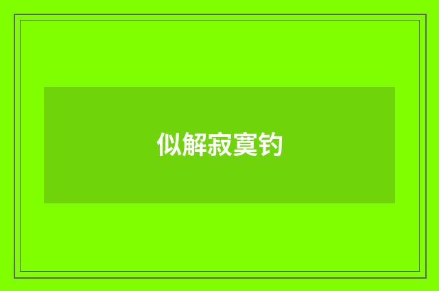似解寂寞钓