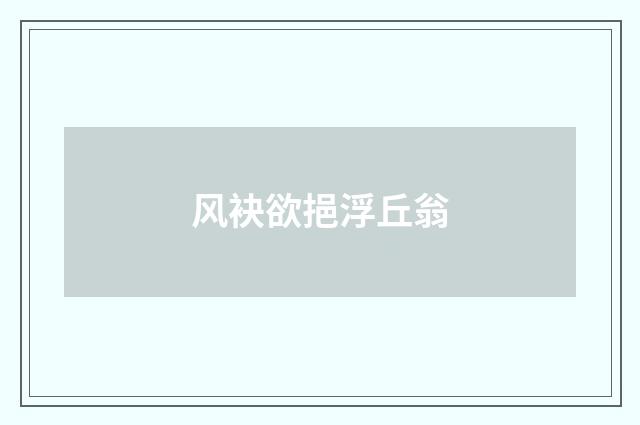 风袂欲挹浮丘翁