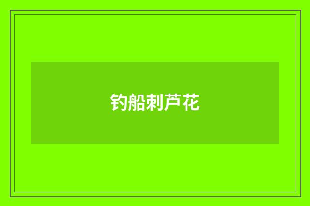 钓船刺芦花