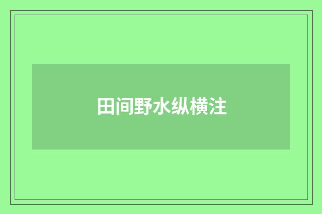 田间野水纵横注