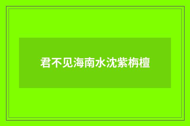 君不见海南水沈紫栴檀